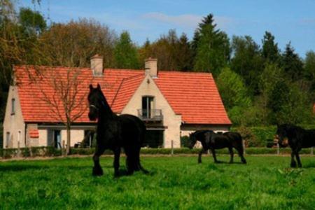 B&B Heerlijkhyd Hertsberge Eksteriør bilde