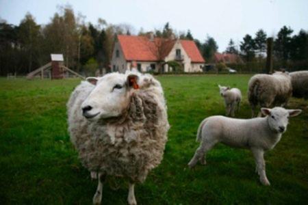 B&B Heerlijkhyd Hertsberge Eksteriør bilde