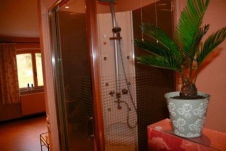 B&B Heerlijkhyd Hertsberge Rom bilde